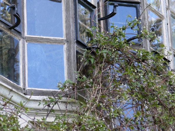 Le Bois des Moutiers (8) avril 2012